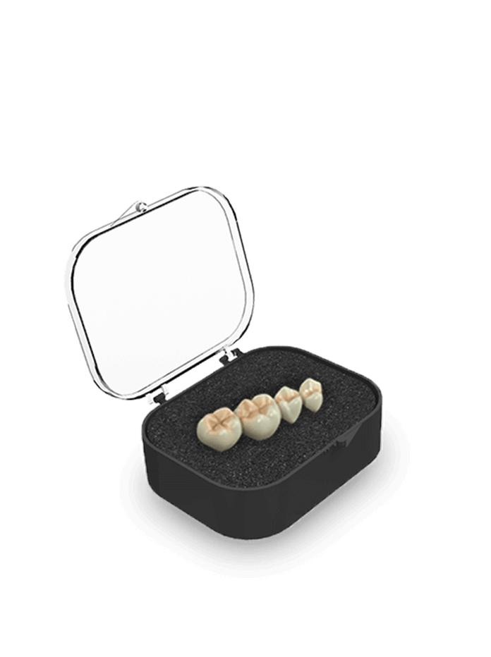 2" Rigid Bridge Box SH (Rounded), Black/Clear w/Pre-Packed Foam (Charcoal Grey)